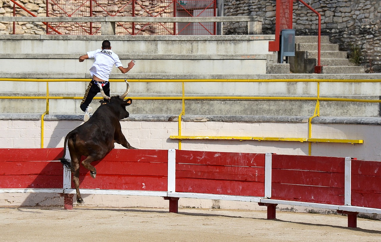 户体验