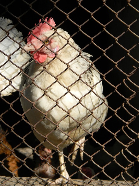 采取行动 采取行动