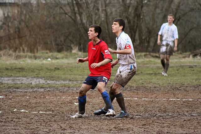 球迷的期待 球迷的期待