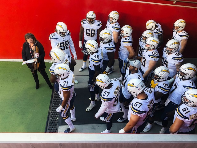 未来会看到 未来会看到