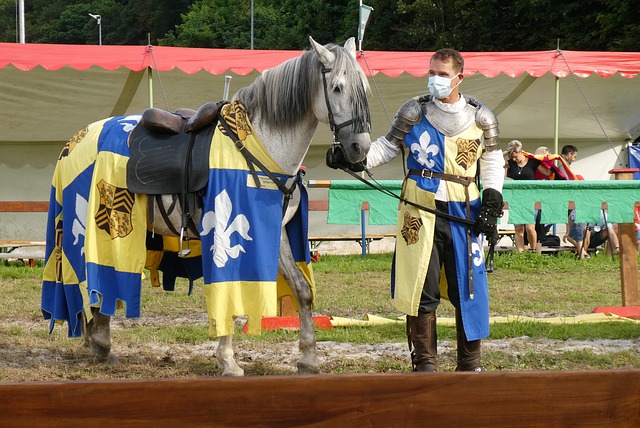 接下来的比 接下来的比