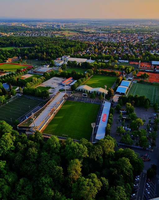 败尼克斯并 败尼克斯并