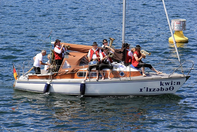 的合作下 的合作下