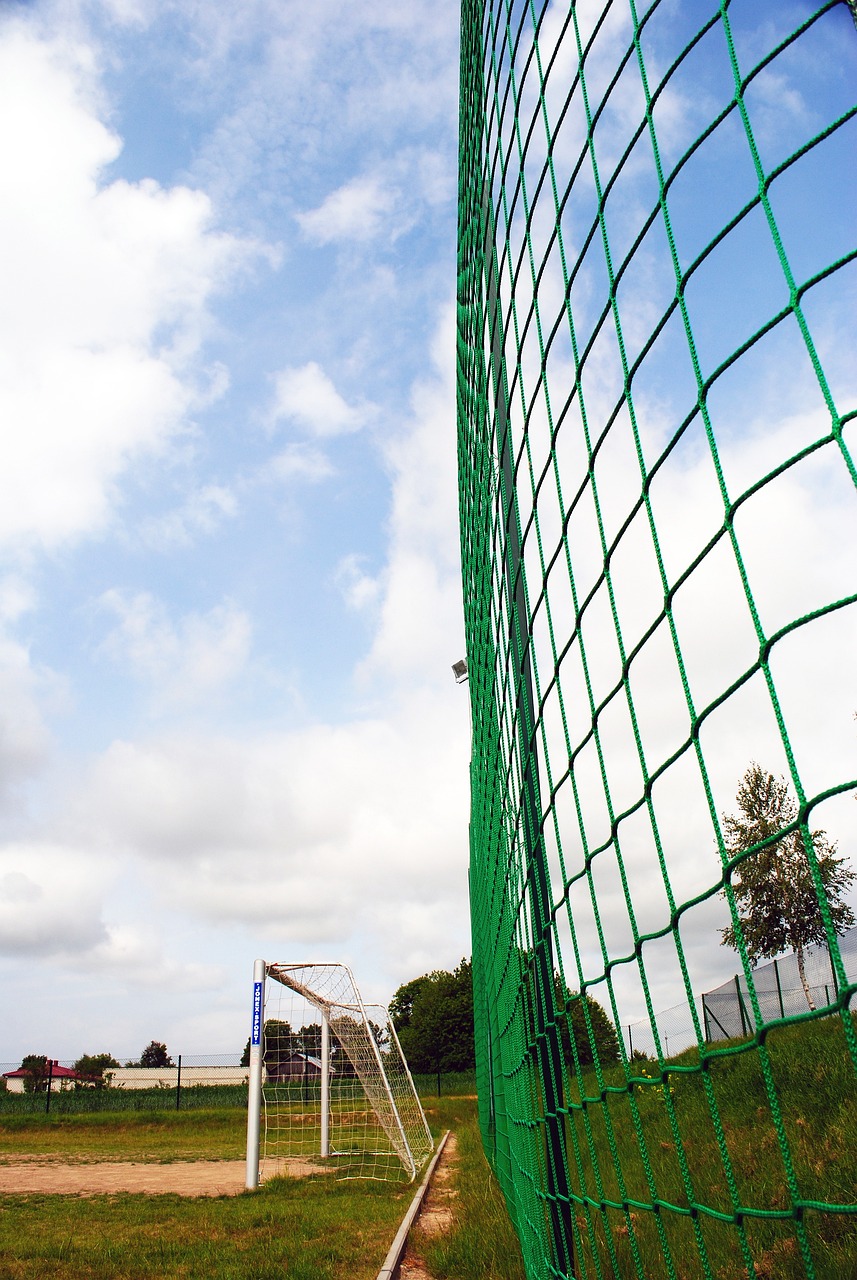 默契的产生 默契的产生