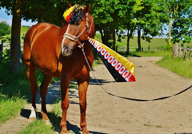 展现了他们 展现了他们