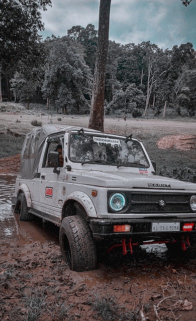 球选手纳达 球选手纳达